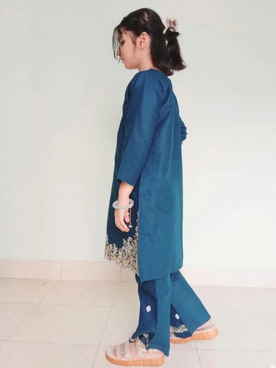 Embroidered doriya lawn shirt and plazo trouser - blue - 00025 thumbnail 2